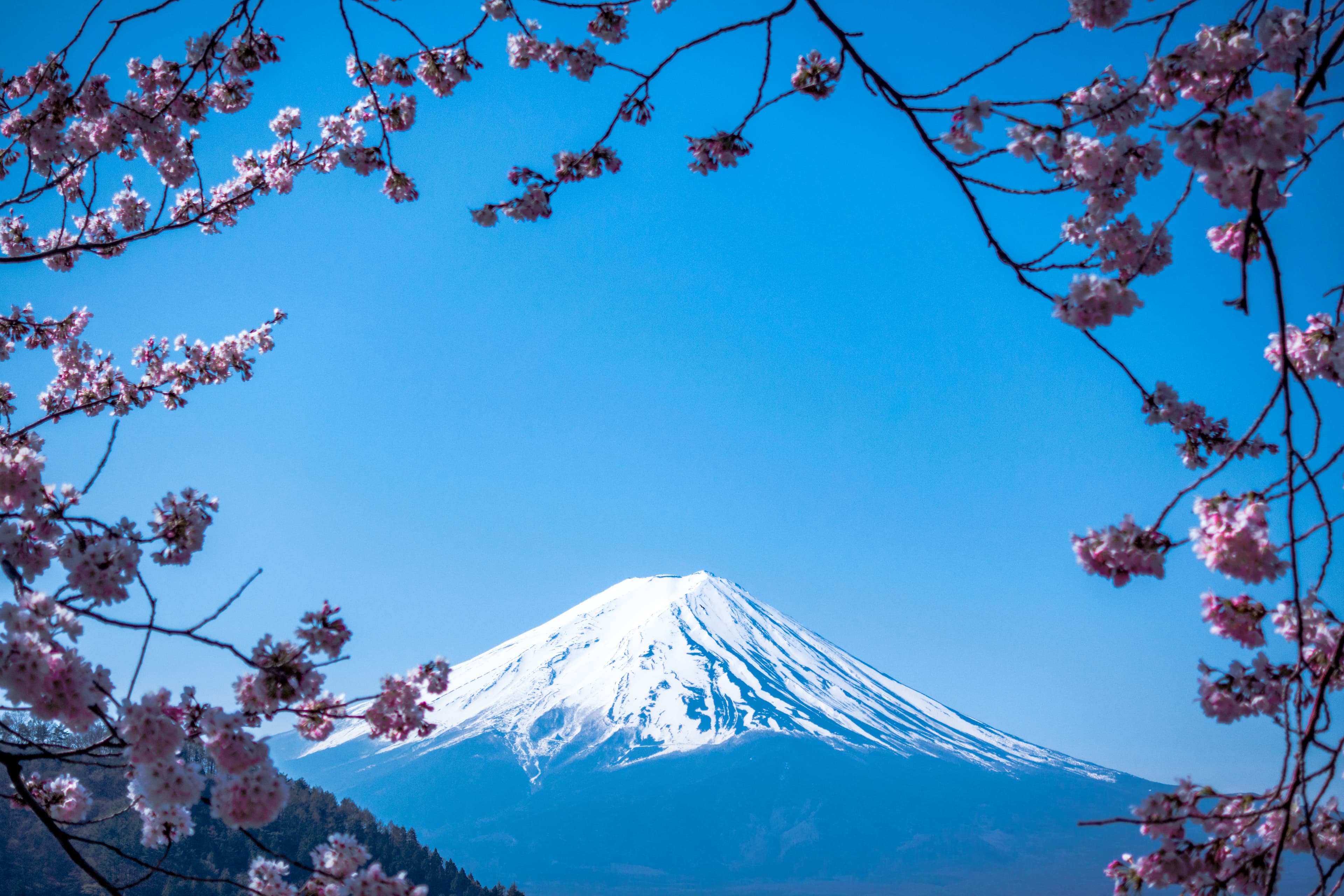 Fuji Mountain The Majestic Volcano of Japan