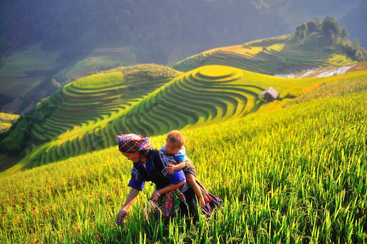 The Ultimate DIY Travel Guide to Mu Cang Chai, Yen Bai, Vietnam