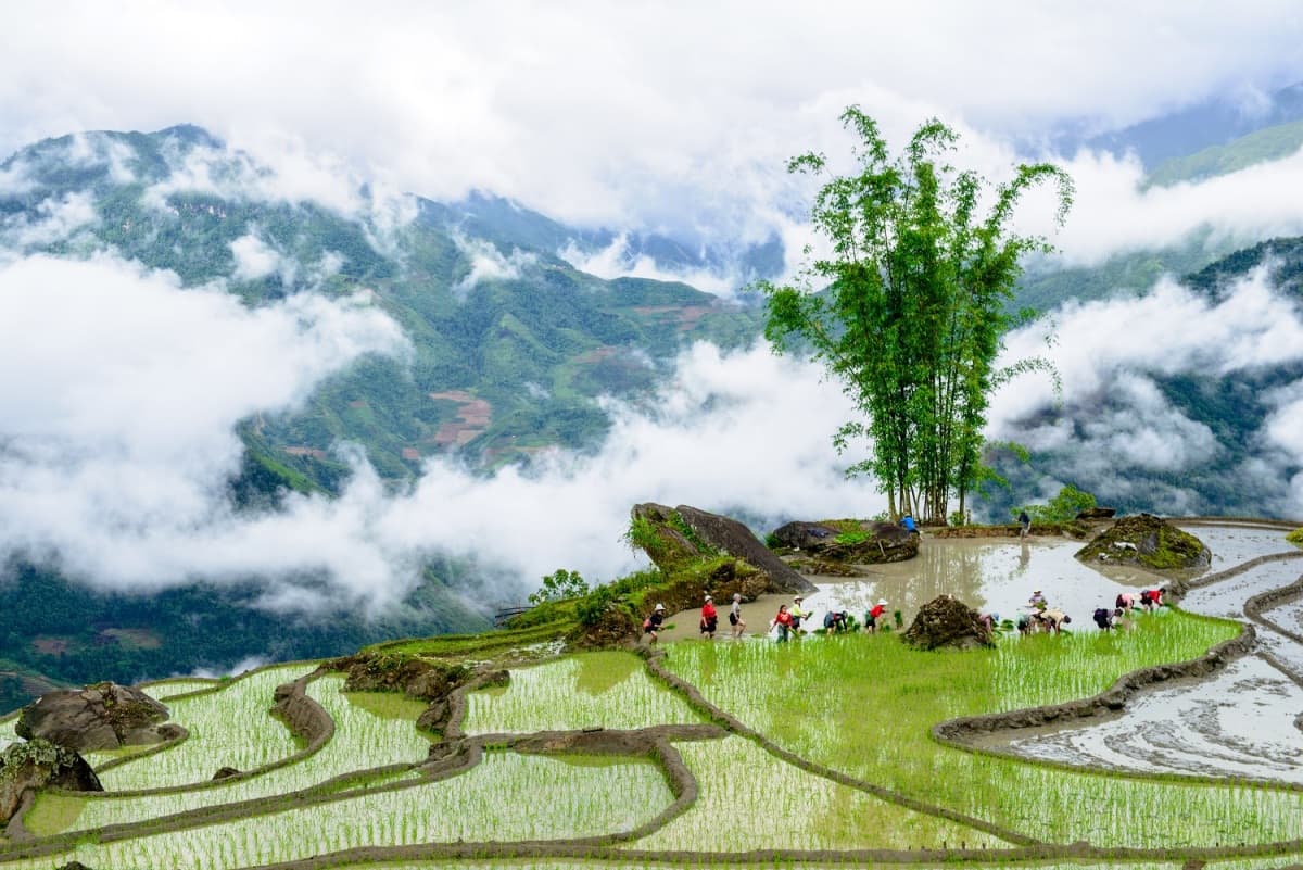 The Ultimate DIY Travel Guide to Y Ty, Lao cai