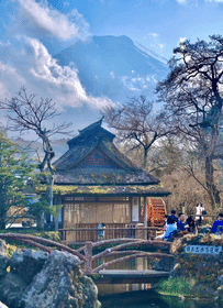 A Day at Mount Fuji: Embrace Japan's Iconic Beauty | Starts in Tokyo