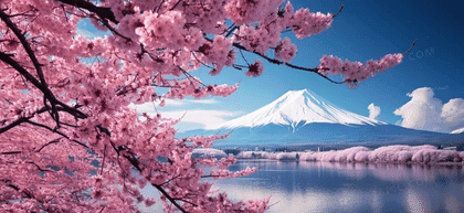 A Day at Mount Fuji: Embrace Japan's Iconic Beauty | Starts in Tokyo