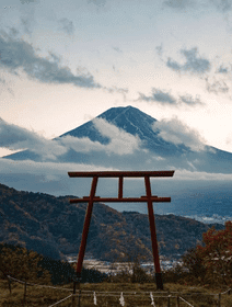 3 Days | MJR-03 | Forest Post-Town Journey|Nagoya