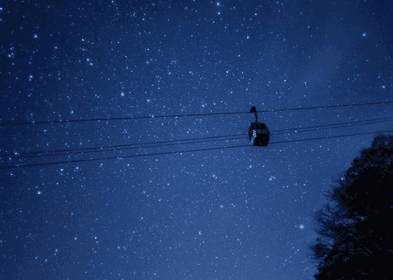 2 Days | MMS-02 | Mt. Fuji, Starry Sky & Onsen Escape